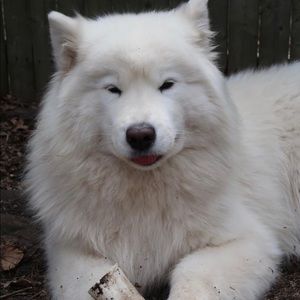 Meet your Posher, Anastasia